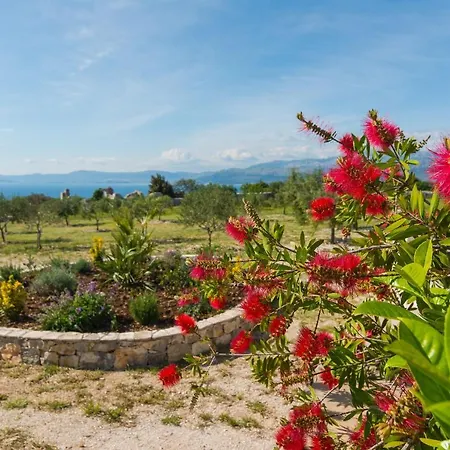 House Blato Holiday home *
