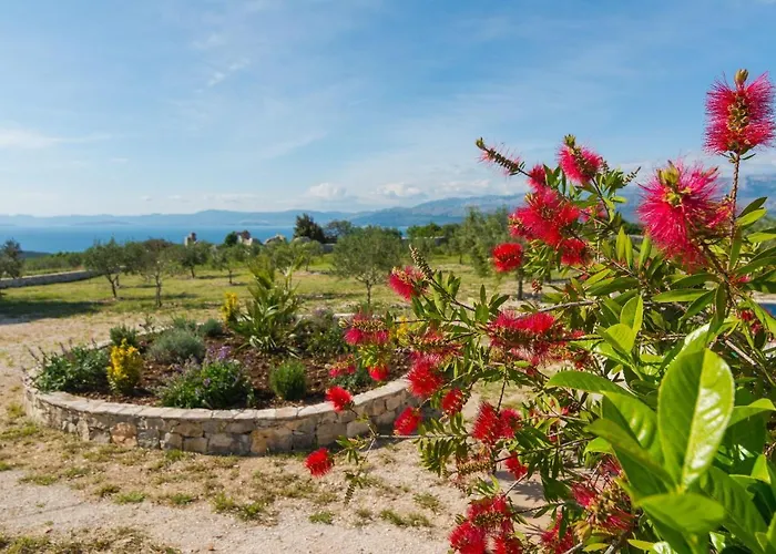 House Blato Holiday home *